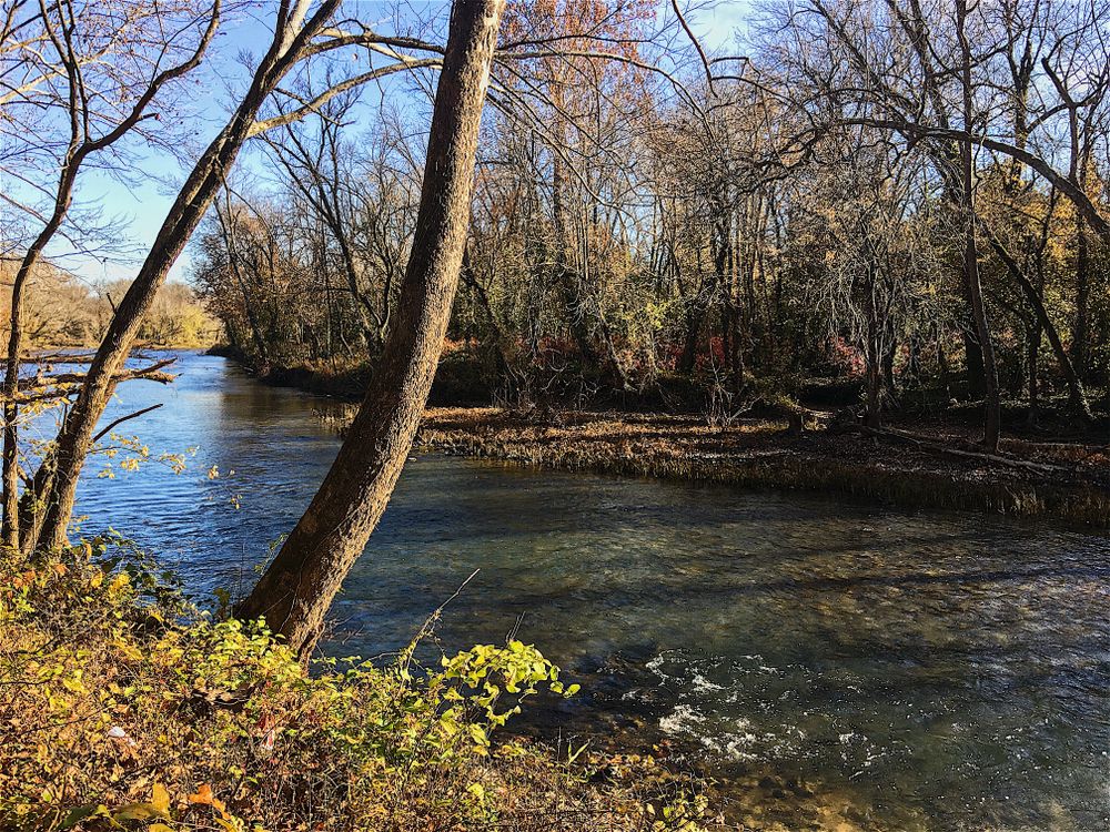 The waters of Wildcat Glades Conservation & Audubon Center