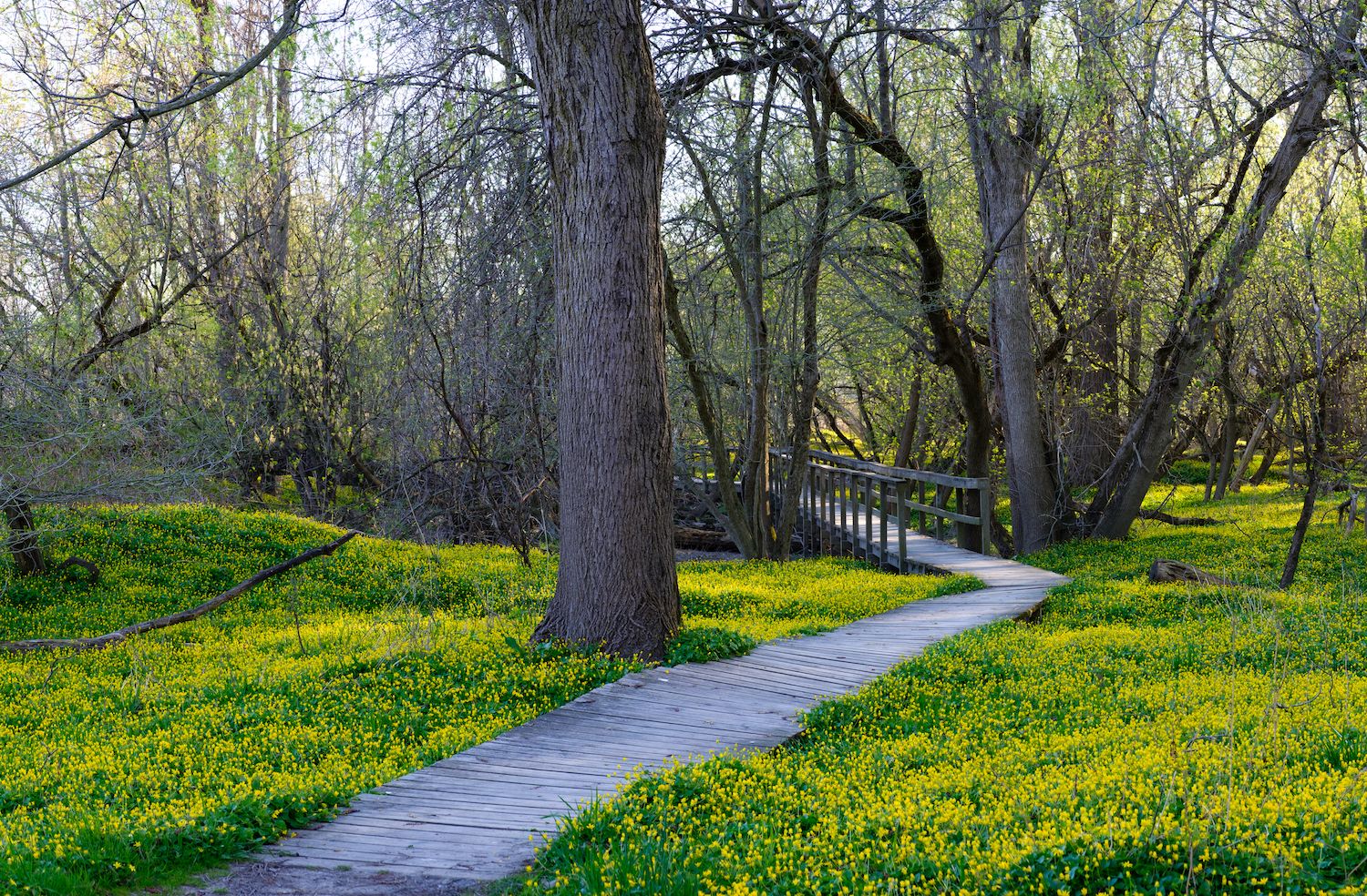 15 Best Things to Do in Cheektowaga, NY Travel Lens