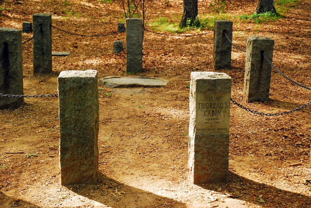 Site of Thoreau's cabin