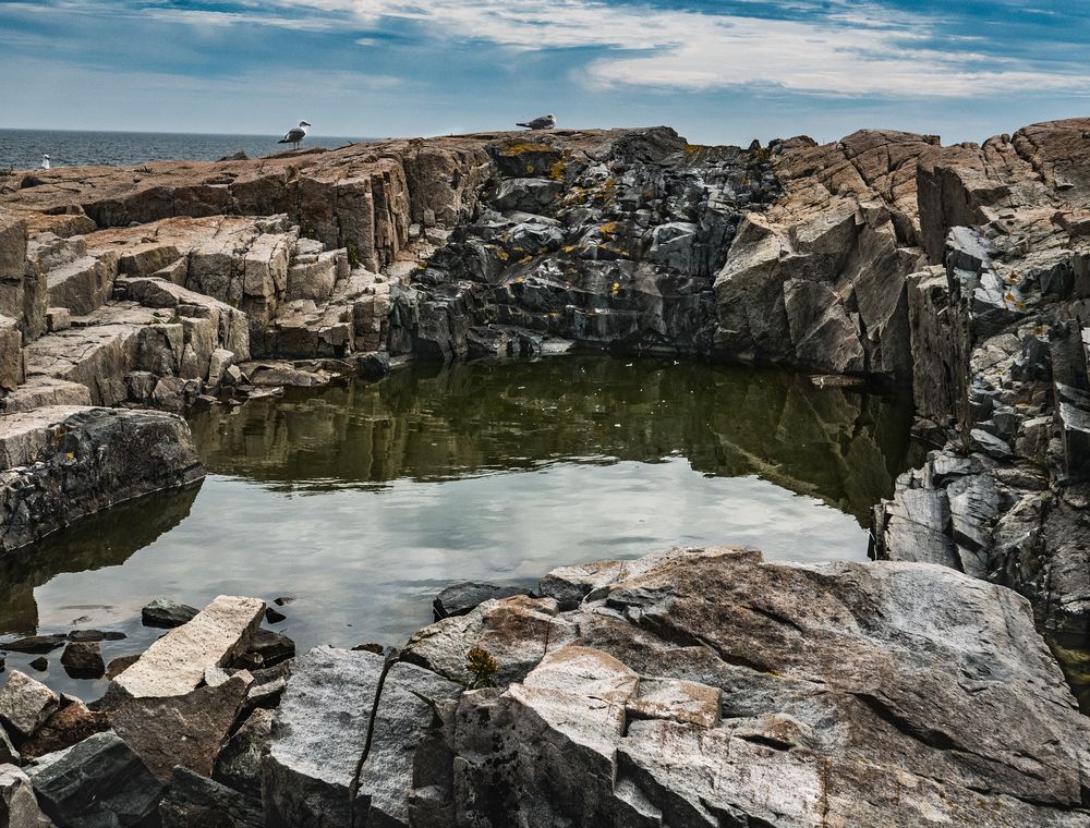 Tidepool at Acadia National Park