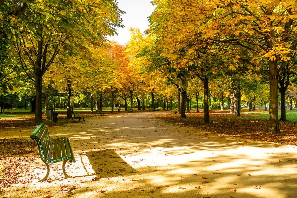 Tiergarten Park