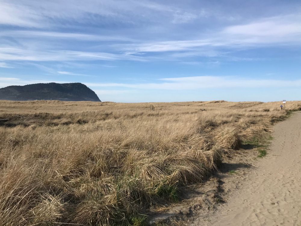 Tillamook head with brown fields and dusty road
