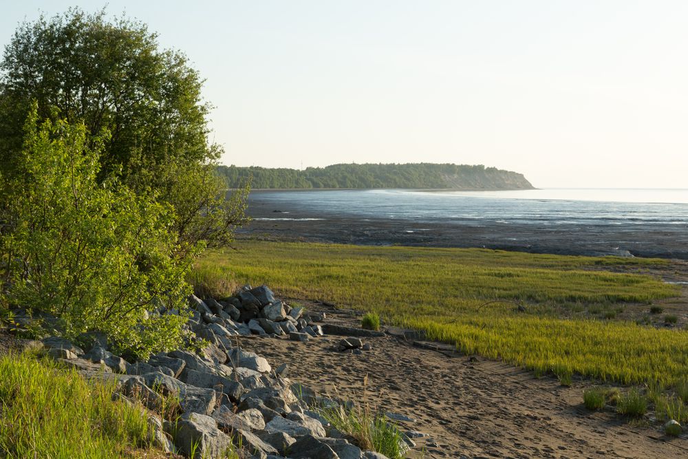 View of the waters from Tony Knowles Coastal Trail