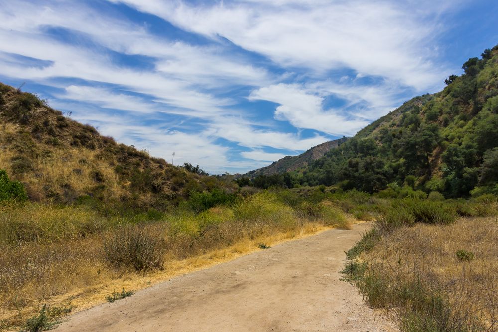 Hiking trail at Towsley Canyon