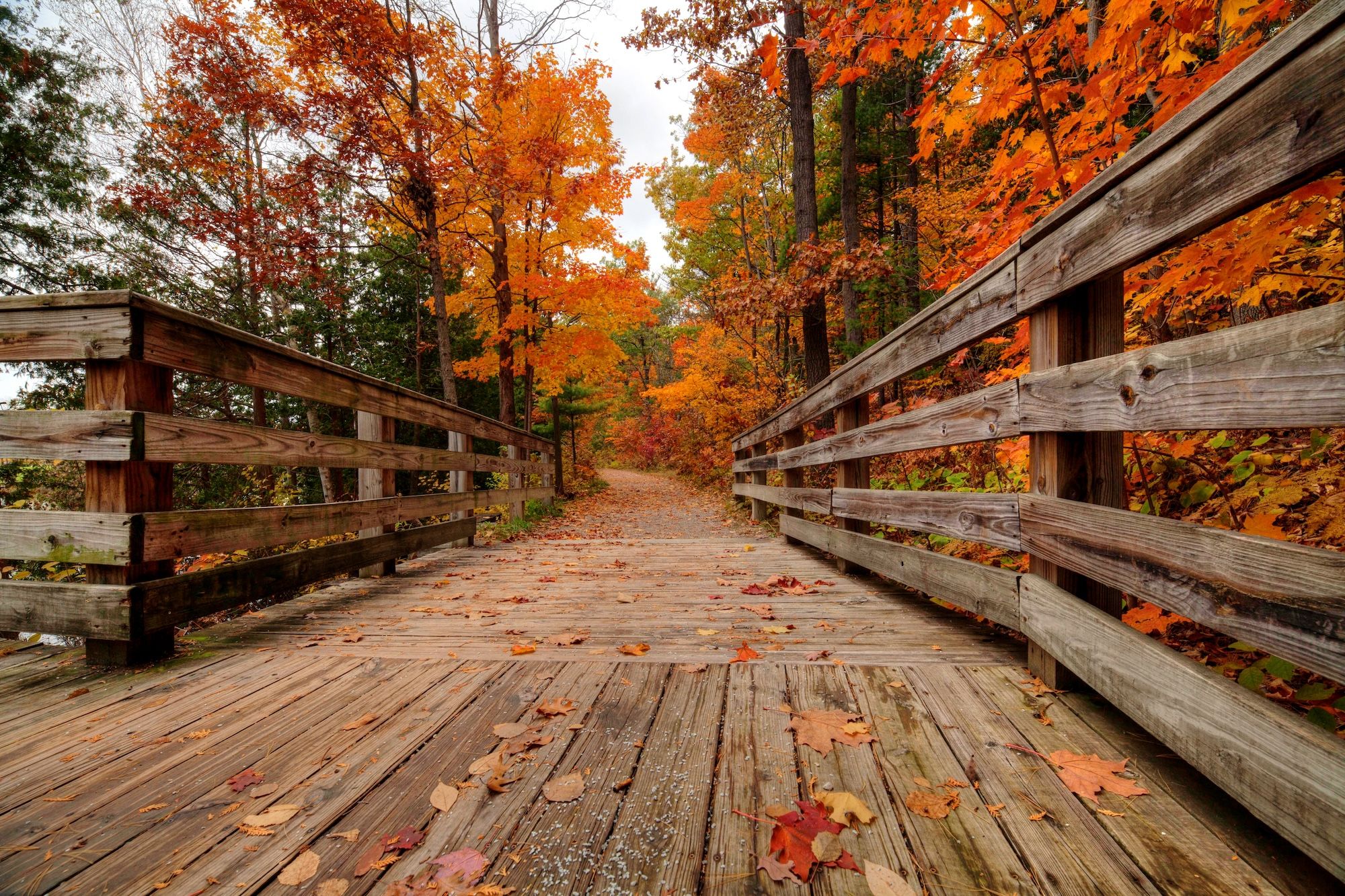 Traverse City