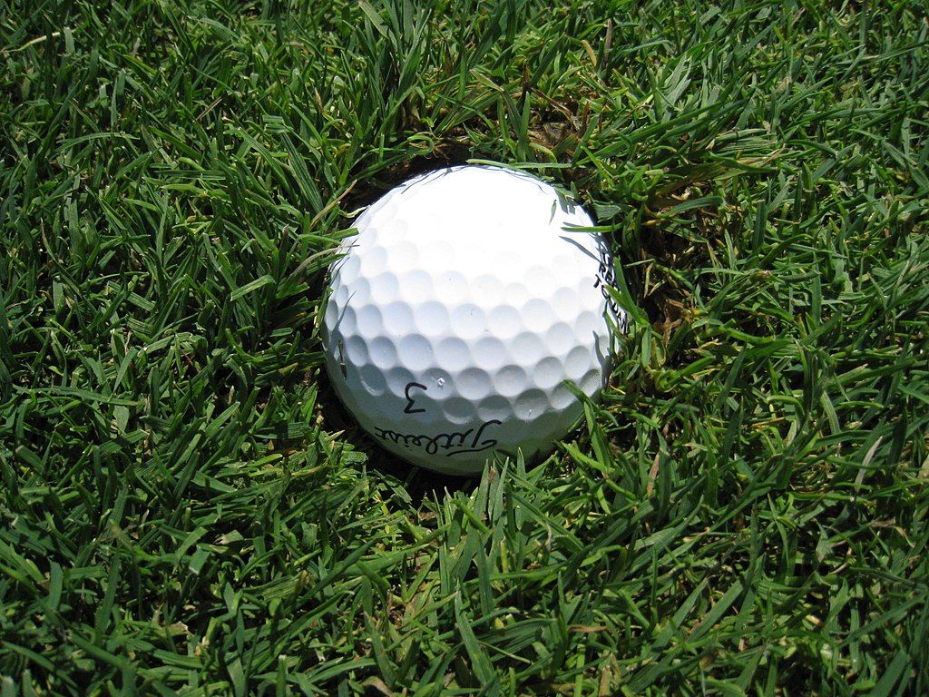 Golf ball at Treetops Resort