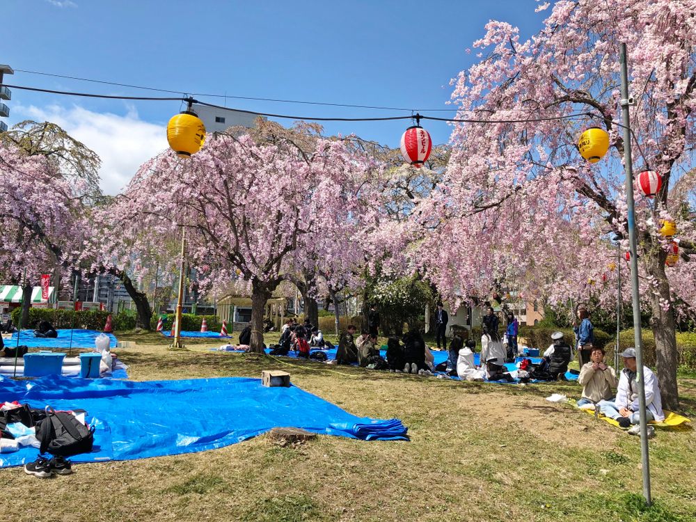 Tsutsujigaoka Park