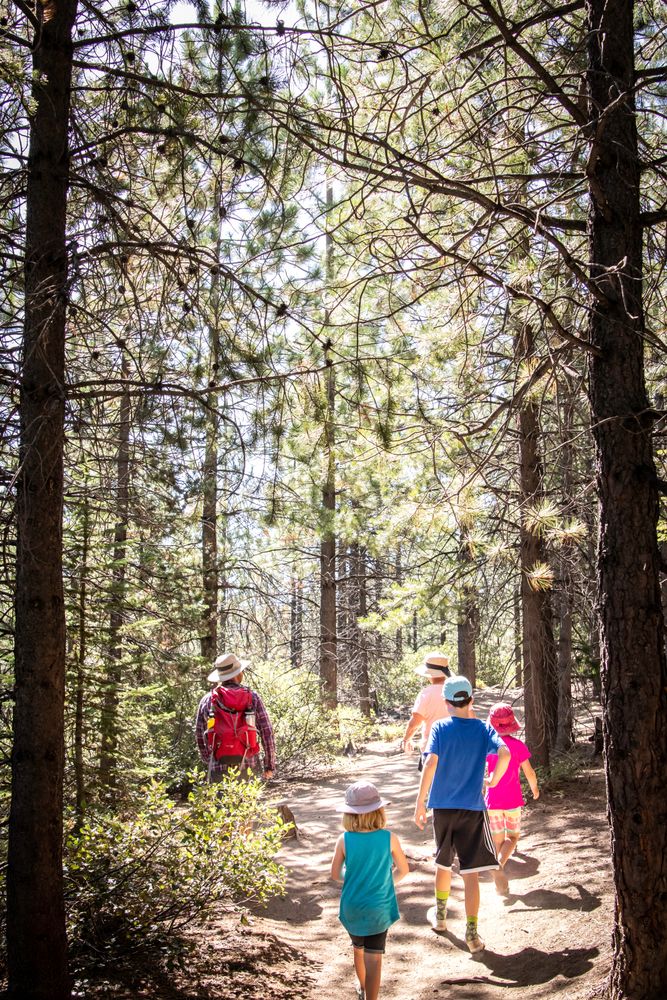 A family hiking towards the Tumalo Falls