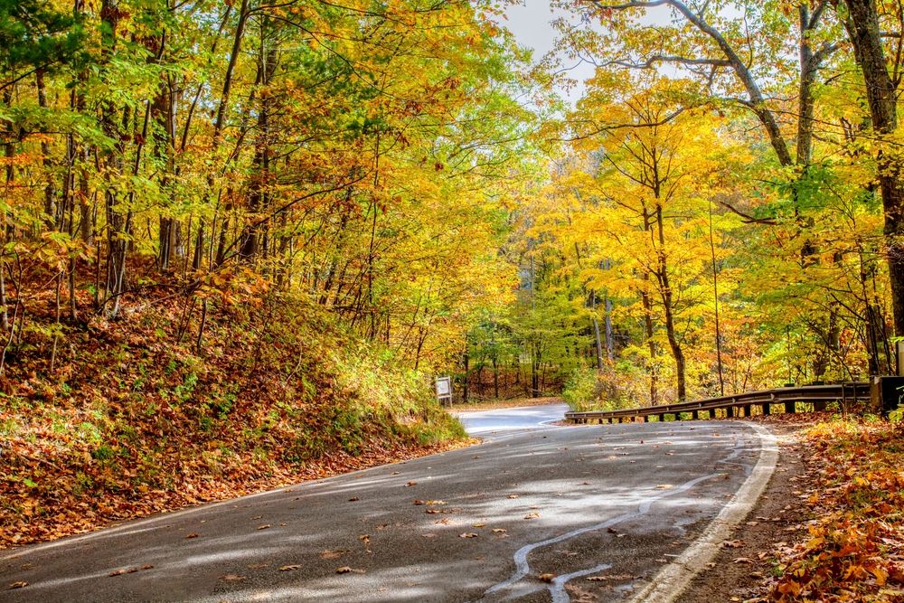 Fall foliage along Tunnel of Trees (M-119)