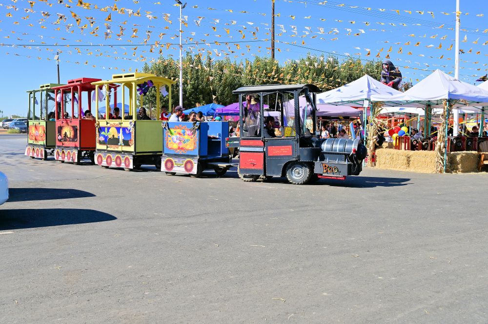 Toy train in a pumpkin patch at Turlock Farmers Market