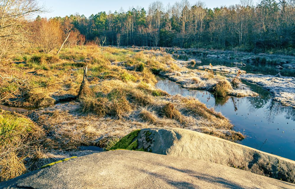 Landscape of Turnipseed Nature Preserve