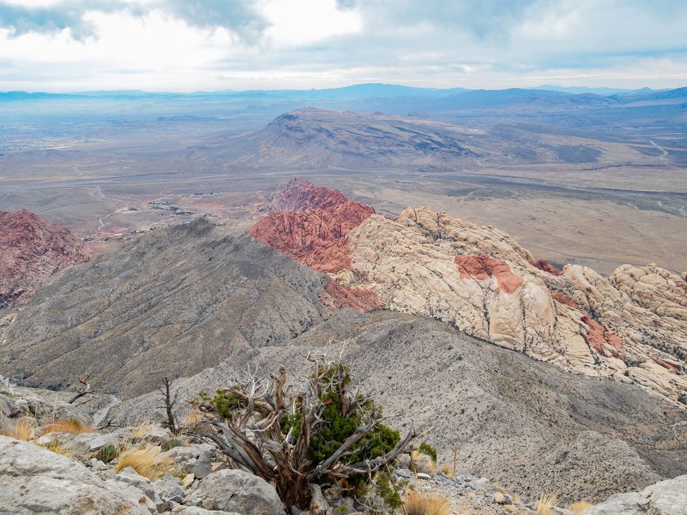 Landscape of Turtlehead Peak Trail