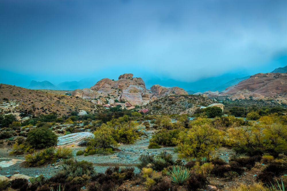 View of Turtlehead Peak Trail