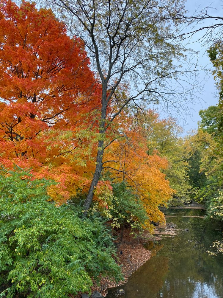 Lake surrounded with autumn trees at Crystal Lake Park