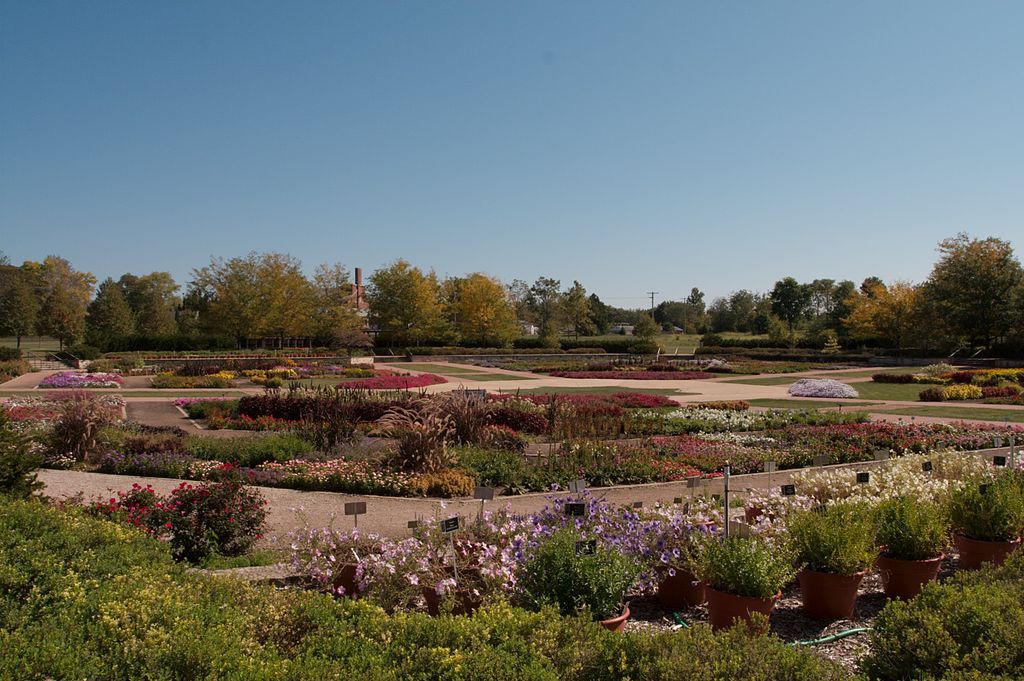 The plants and flowers of the beautiful University of Illinois Arboretum