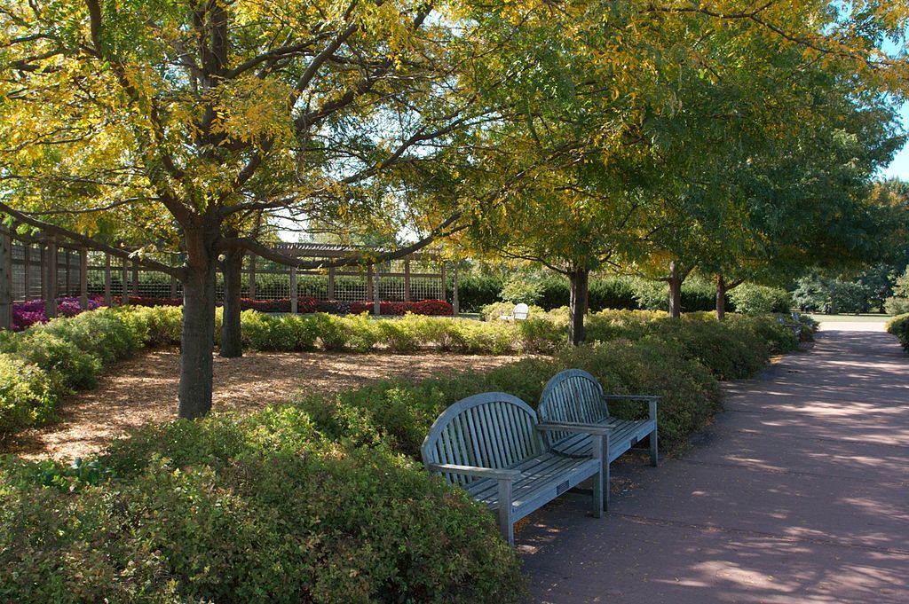 Wooden benches at University of Illinois Arboretum