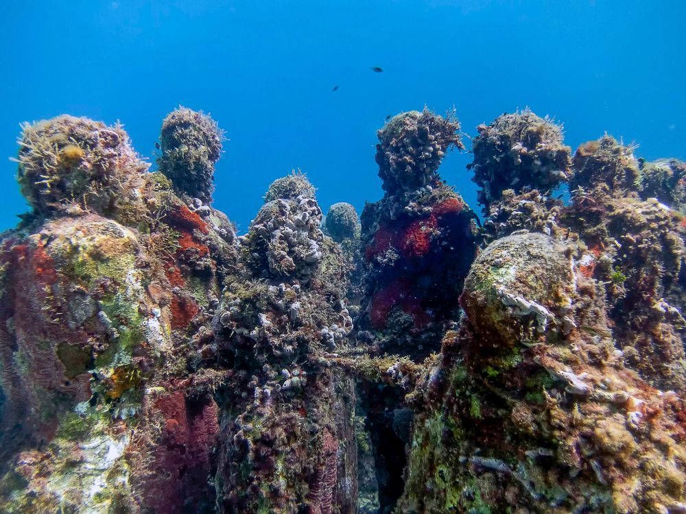 Underwater Museum of Art