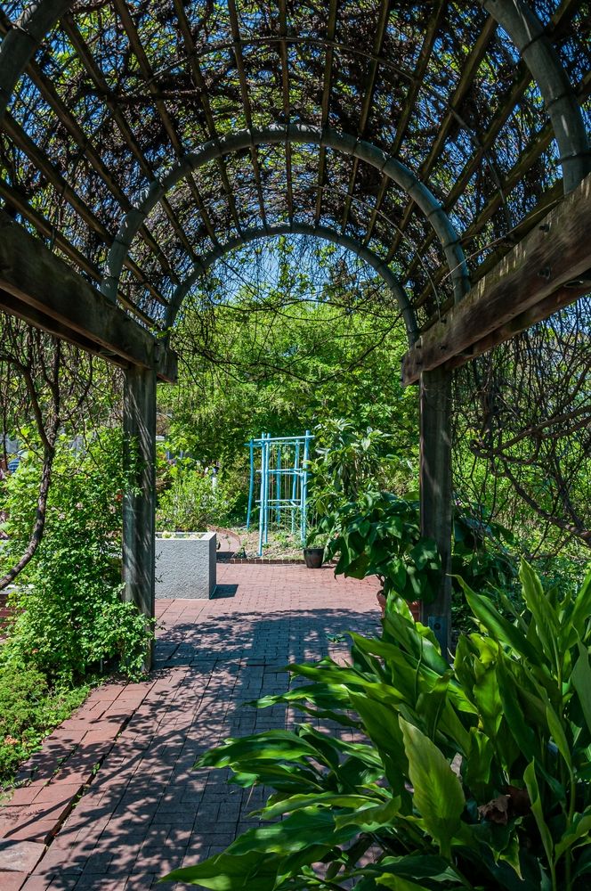 Garden at United States National Arboretum
