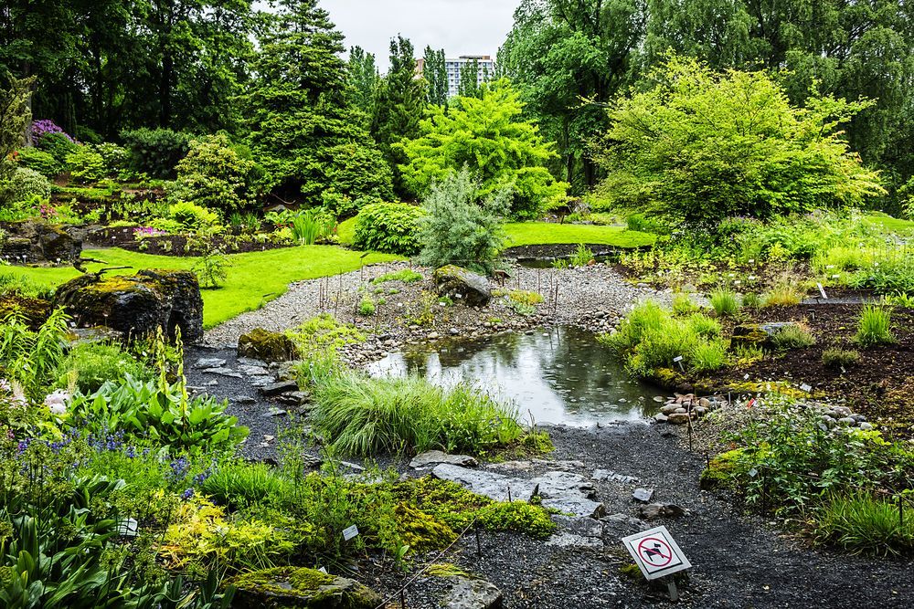 University Botanical Garden