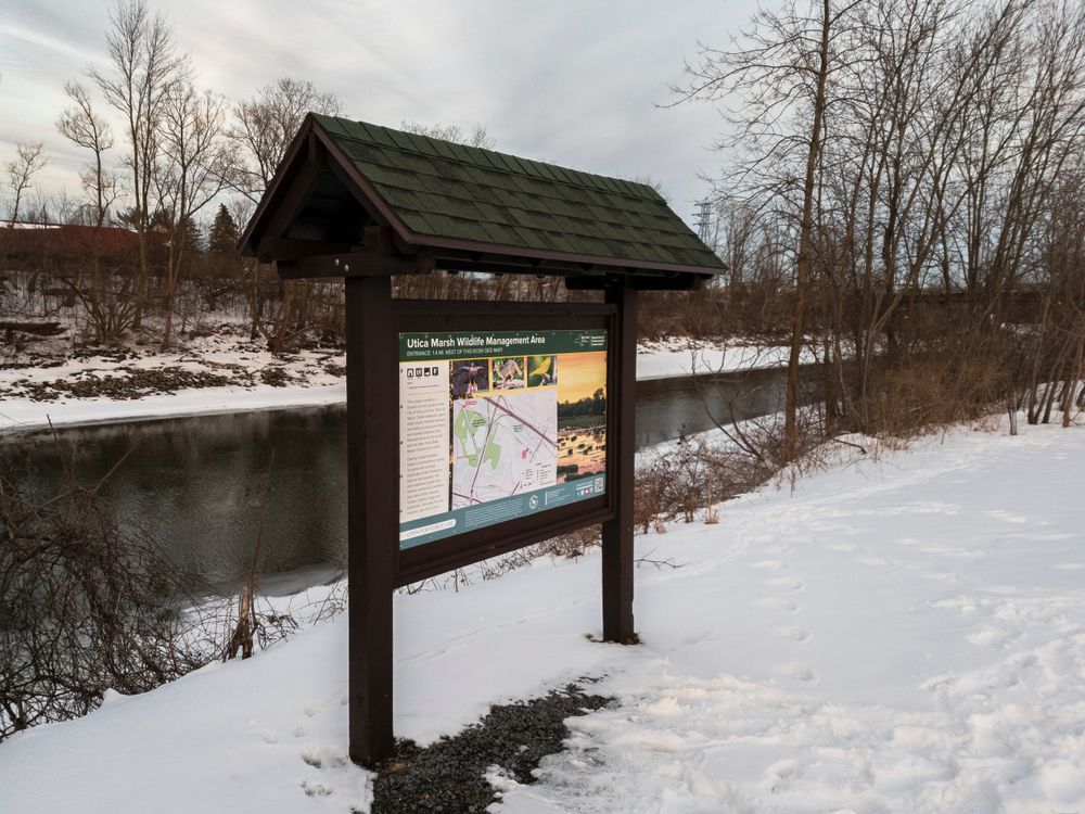 Utica Marsh Wildlife Management Area during snow