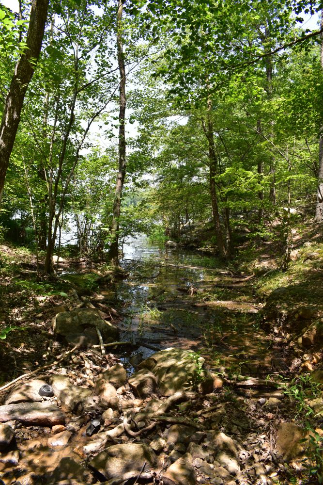 Nature trail at Uwharrie National Forest