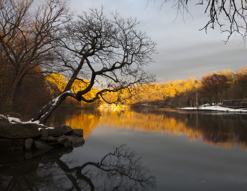 Van Cortlandt Park during snow