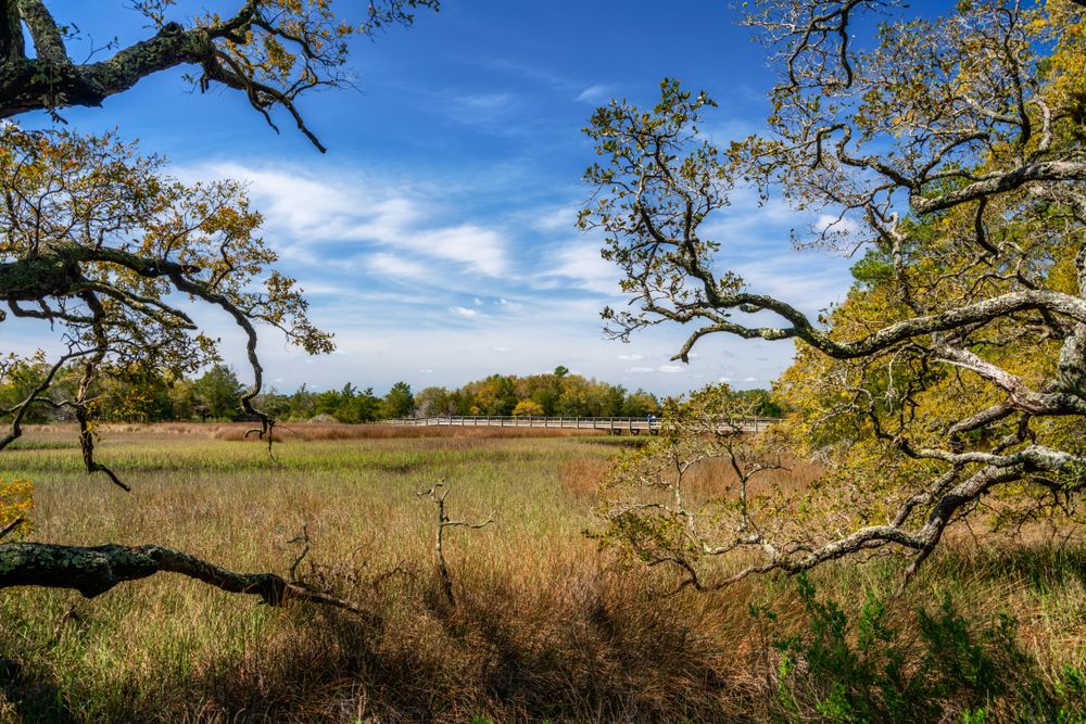 Scenic view of Vereen Memorial Gardens