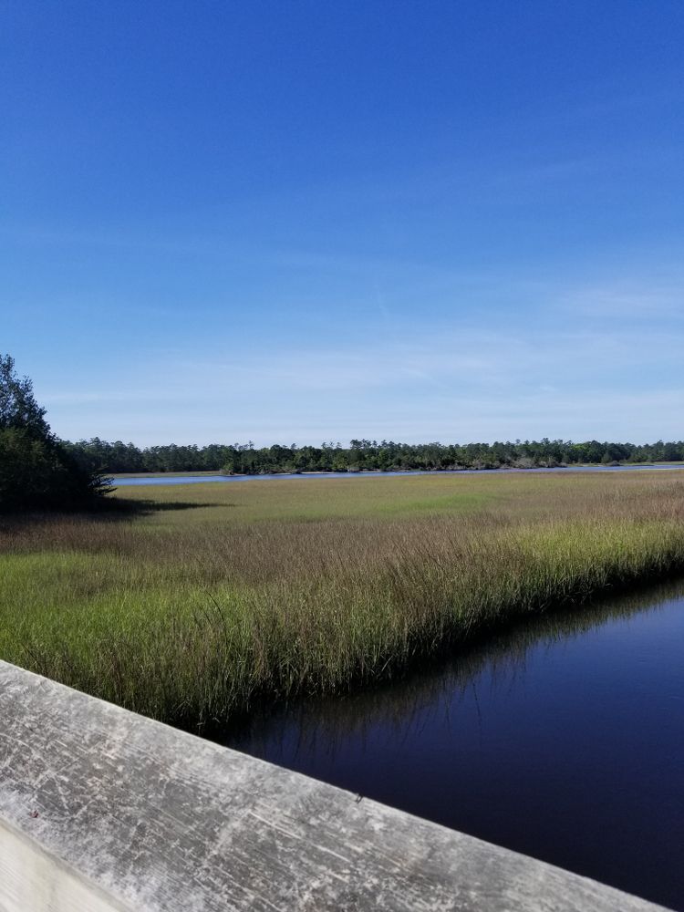 Wetlands at Vereen Memorial Gardens