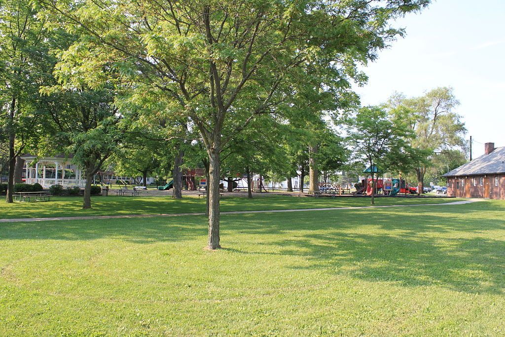 Lawn at the Victory Park