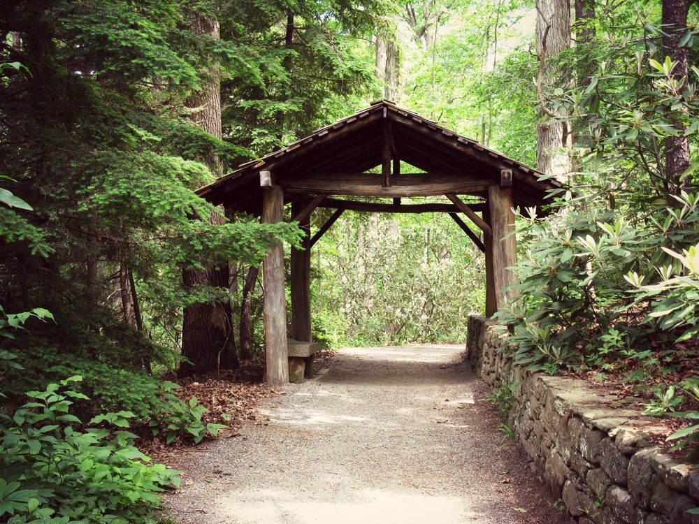 View of Botanical Gardens at Asheville