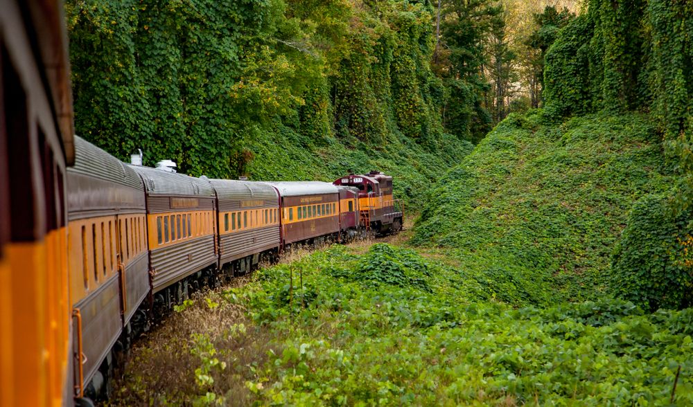View of Great Smoky Mountains Railroad