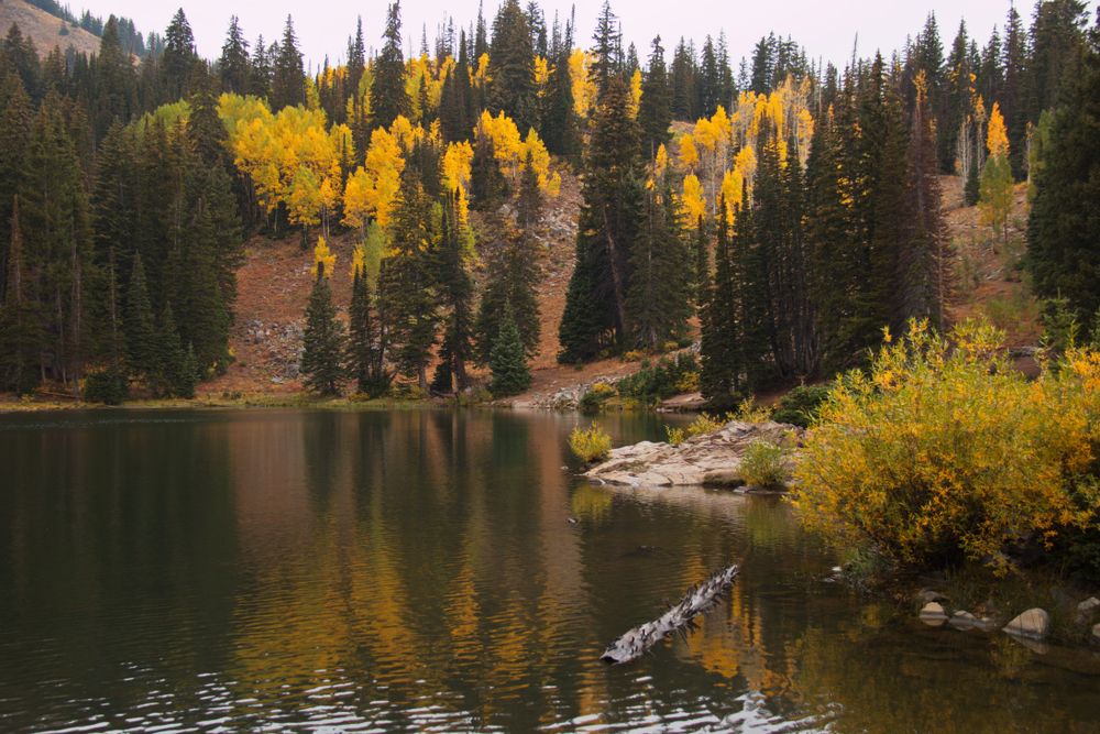 Scenic view of Guardsman Pass Road