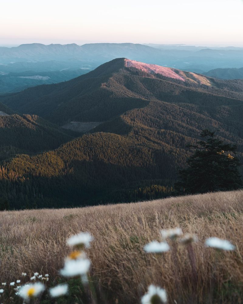 Beautiful Scenery at Mary’s Peak in Benton County, OR