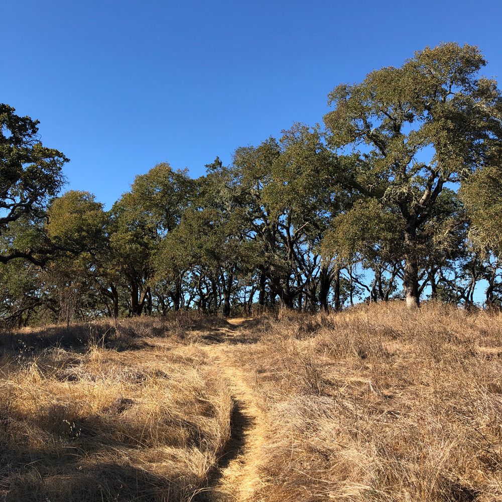 Trails at Sonoma Valley Regional Park in Glen Ellen, CA