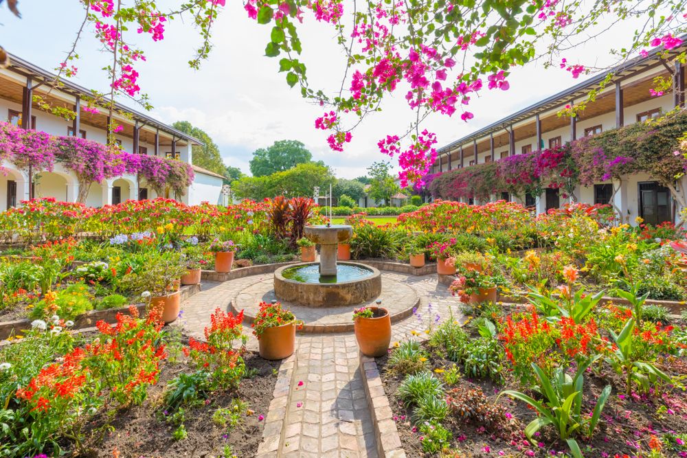 A beautiful garden at Villa de Leyva