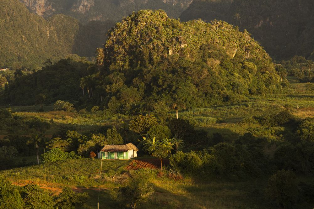 Landscape of Viñales National Park's mogotes