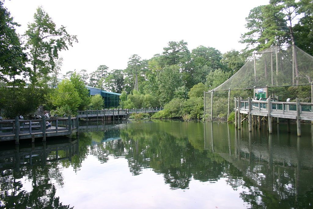 Outdoor exhibition at Virginia Living Museum