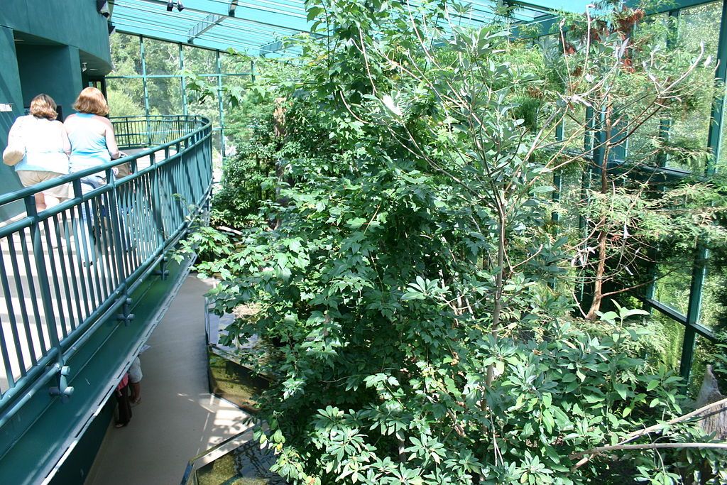 Cypress swamp Exhibit at Virginia Living Museum