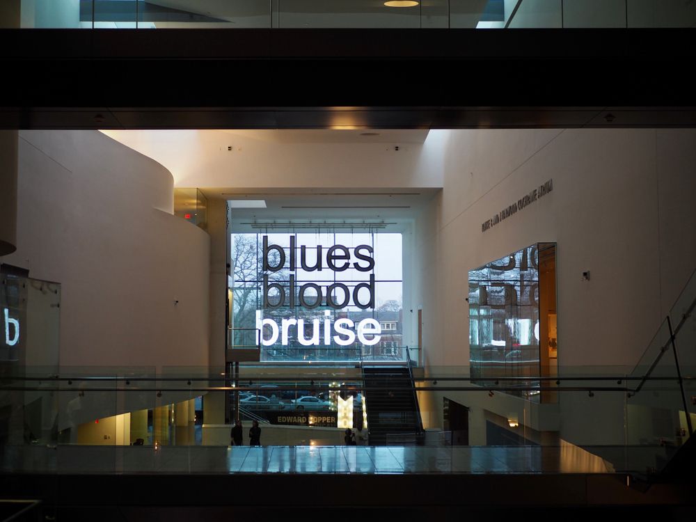 Interior view of Virginia Museum of Fine Arts