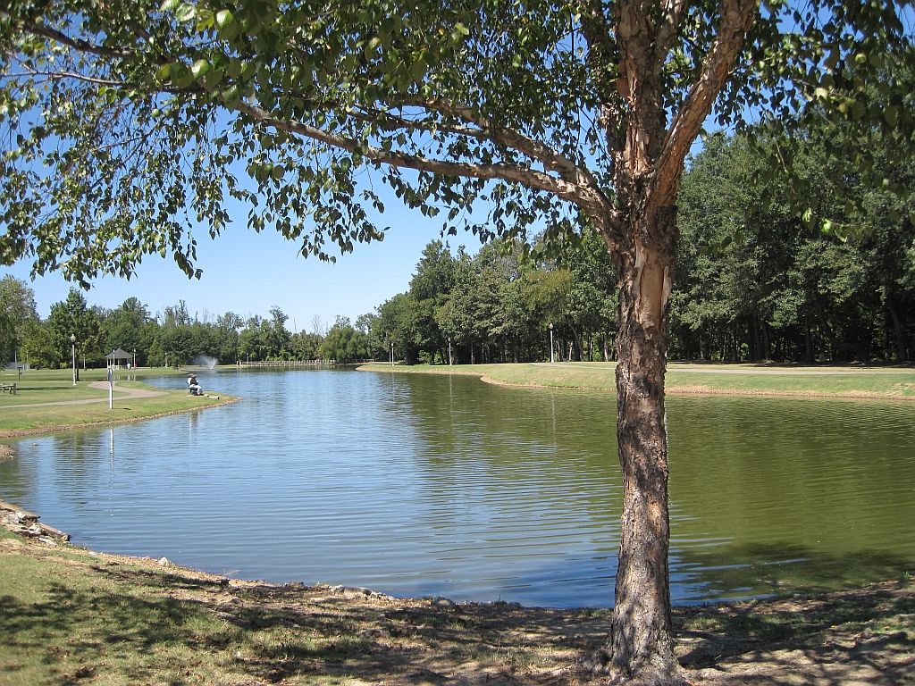 Pond at W.C. Johnson Park