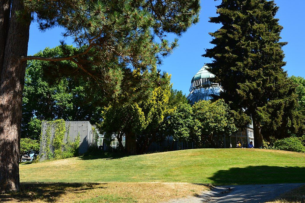 Lawn at the W.W. Seymour Botanical Conservatory