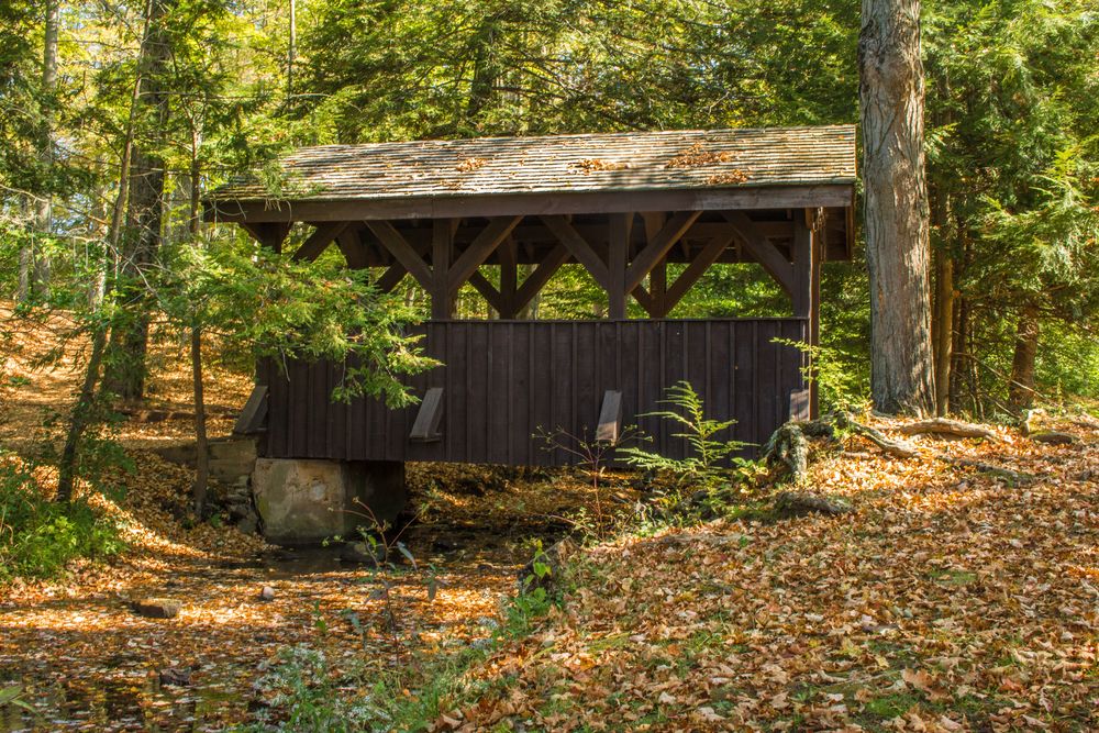 Trail along the Wadsworth Falls State Park