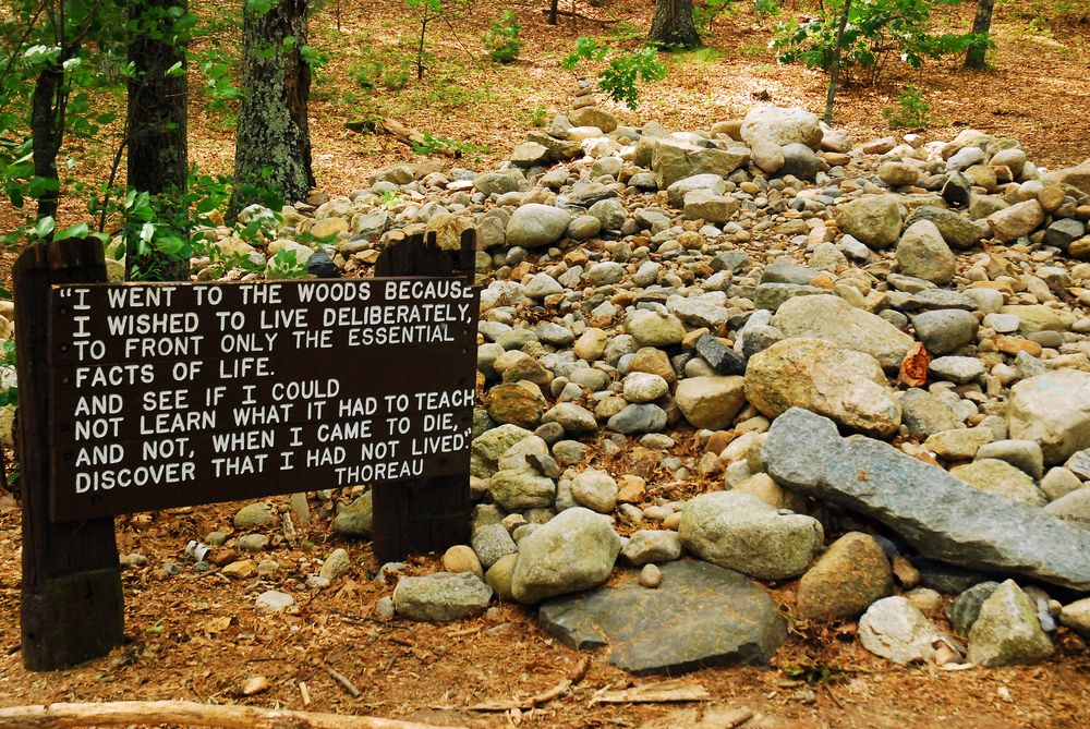 Site of Henry David Thoreau's hut at Walden Pond