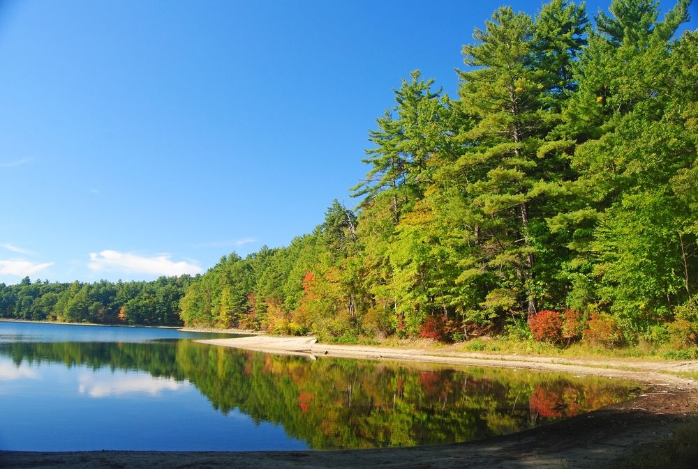 Walden Pond in Concord