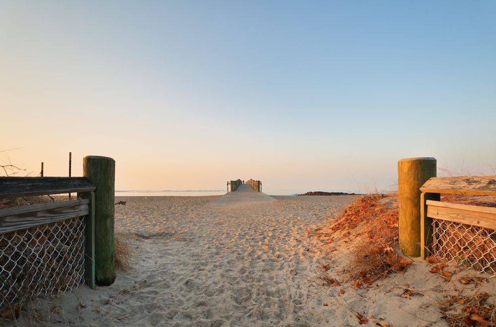 Sand dunes at Walnut Beach