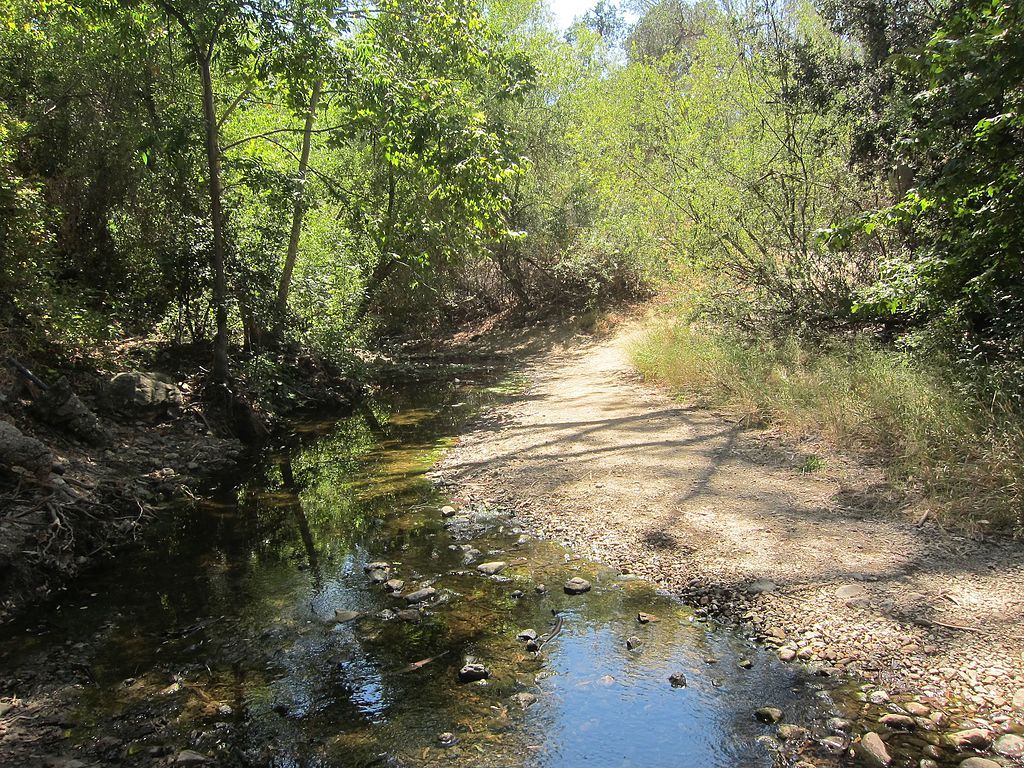 View of Walnut Creek Community Regional Park