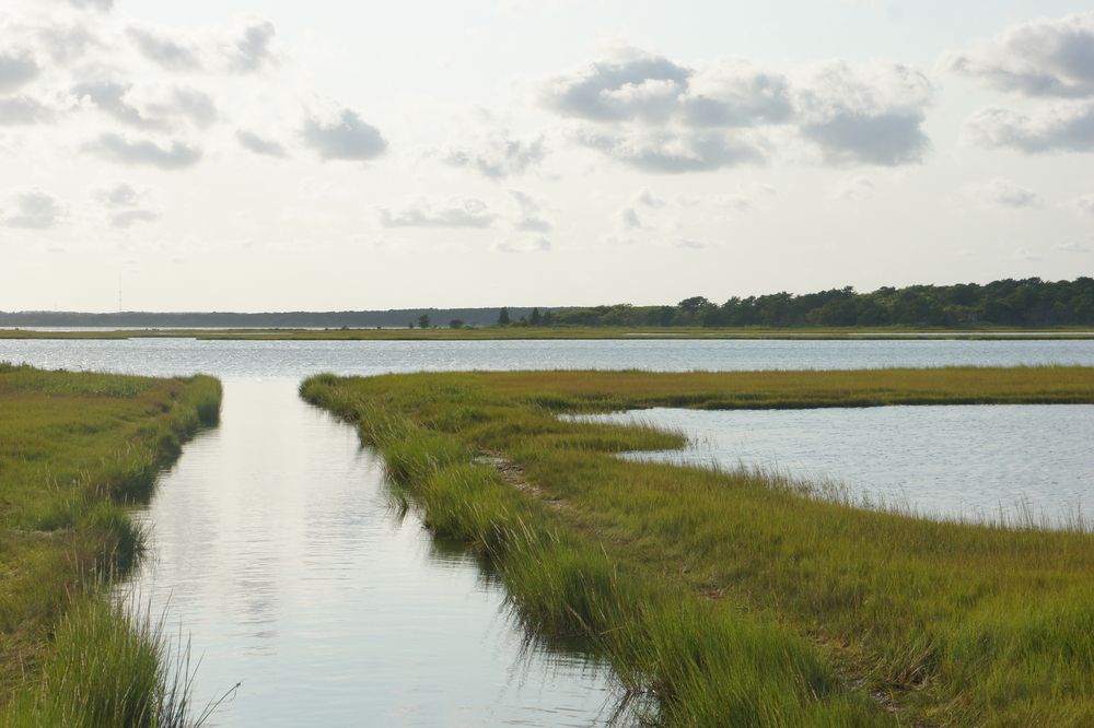 Marsh at Waquoit Bay National Estuarine Research Reserve