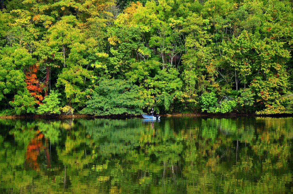 Calm water at Warriors' Path State Park