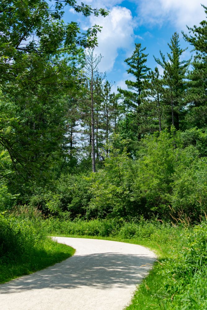 Natural trail at Waterfall Glen Forest Preserve