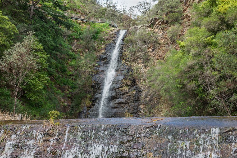 Waterfall Gully at Adelaide
